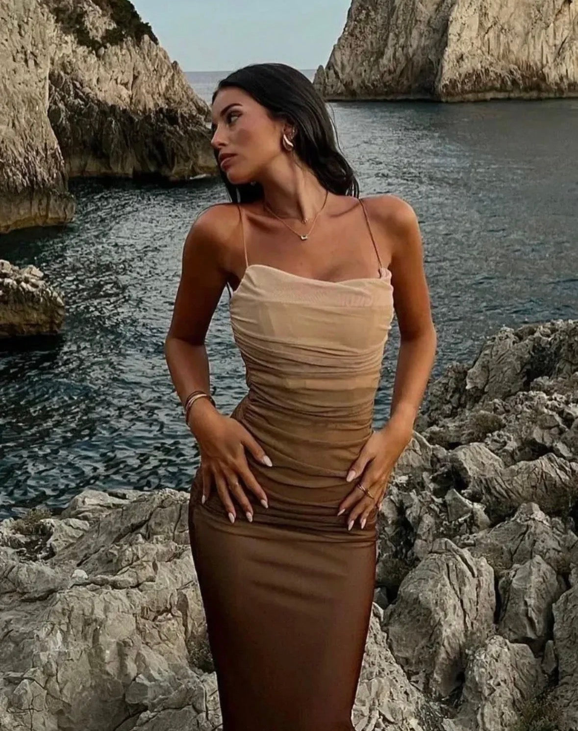 Sleeveless 2 tone brown long elegant dress for women