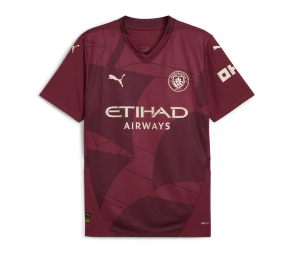 Manchester City 24/25 Third Kit